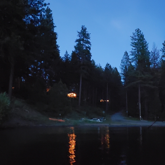 Meet your Posher, Cheyenne - Picture 1 of 1